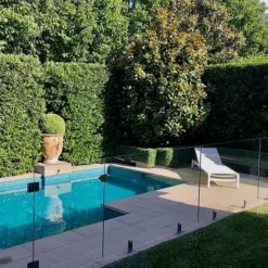 Bay Laurel (Sweet Bay) - Laurus Nobilis - 3 Gallon Pot -Garden Supplies Sales 2024 Bay Laurel 7 1