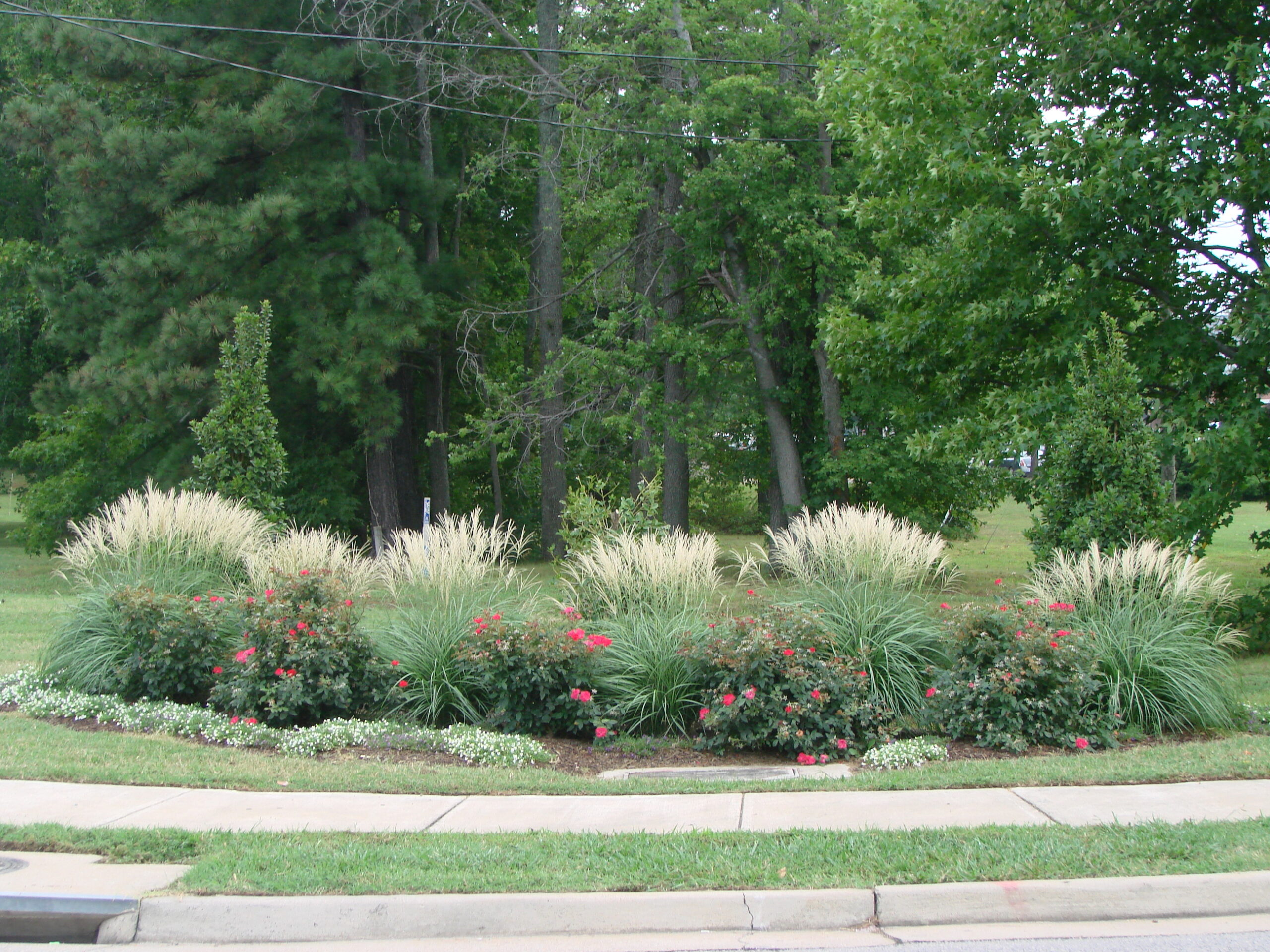 Front Page -Garden Supplies Sales 2024 DSC08497 scaled