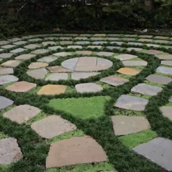 Kyoto Super Dwarf Mondo Grass - 3 Pack Of Pint Pots 10 Kyoto Super Dwarf Mondo Grass - 3 Pack Of Pint Pots -Garden Supplies Sales 2024 Grass Mondo Super Dwarf 2