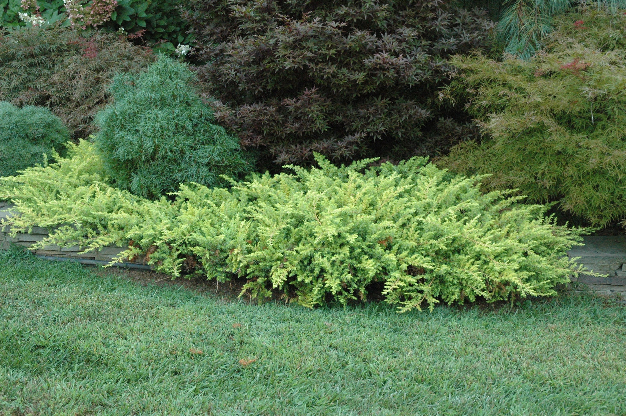 Front Page -Garden Supplies Sales 2024