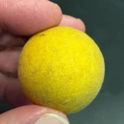 Flying Dragon Hardy Orange Tree - 7 Gallon Pot (5-6') (COPY) -Garden Supplies Sales 2024 Orange Flying Dragon 6 2