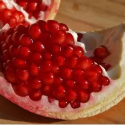 Russian 26 Cold Hardy Pomegranate - 1 Gallon Pot -Garden Supplies Sales 2024 Pomegranate Russian 26 Fruit Slice 3