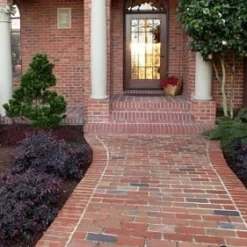 Purple Pixie Loropetalum - 2 Gallon Pot -Garden Supplies Sales 2024 Purple Pixie Loropetalum Border 2