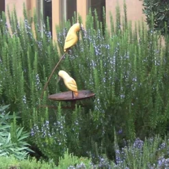 Tuscan Blue Rosemary - 5 Pack Of Quart Pots -Garden Supplies Sales 2024 Rosemary Tuscan Blue 2 1