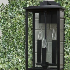 Variegated Creeping Fig - Ficus Pumila 'Variegata' - 6 Pack Of Pint Pots -Garden Supplies Sales 2024 ficus pumila variegata creeping fig 102 1