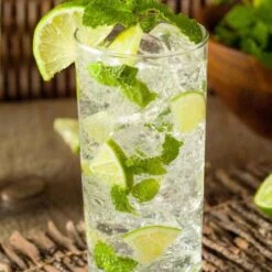 Mojito Mint Plant - 6 Pack Of Pint Pots