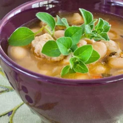 Hot & Spicy Oregano - 6 Pack Of Pint Pots -Garden Supplies Sales 2024 oreganum hot and spicy oregano 1