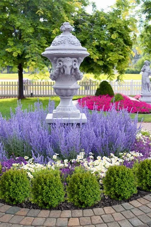 Denim N' Lace Russian Sage (Perovskia) - 1 Gallon Pot 1 Denim N' Lace Russian Sage (Perovskia) - 1 Gallon Pot