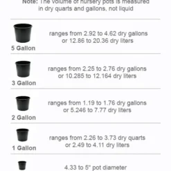 Sawtoothed Aucuba Serratifolia - 6 Pack Of 1 Gallon Pots -Garden Supplies Sales 2024 pot size chart 2022 673