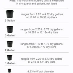 Arp Rosemary - 6 Pack Of Pint Pots -Garden Supplies Sales 2024 pot size chart 2022 811