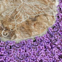 Caborn Wine & Roses Creeping Thyme - 5 Pack Of Pint Pots -Garden Supplies Sales 2024 thymus caborn wine and roses 2 1